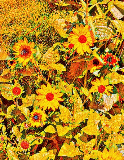Słoneczniki dla Van Gogha. autorstwa Margareta Uliarte