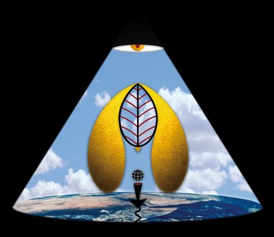 Im Anfang war das Wort (aus der Serie Lichtung) autorstwa Alexander Eibach