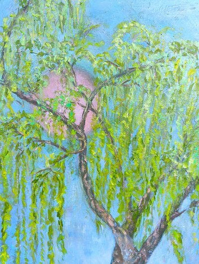 Wierzba, która się nie śmieje autorstwa Elzbieta Goszczycka