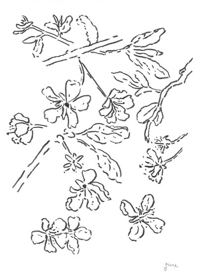  autorstwa june art