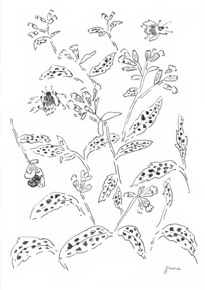  autorstwa june art