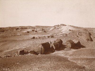 W Skamieniałym Lesie (Widok Ogólny, Park Środkowy) autorstwa A.C. Vroman