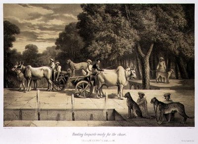 Polowanie na lamparty gotowe do pościgu, z „Podróży po Indiach”, ryty przez Louisa Henri de Ruddera (1807–81) wyd. w Londynie autorstwa A. (after) Soltykoff