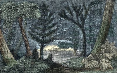 polish autorstwa A. Demarle