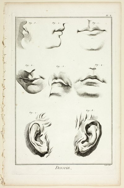 Projekt: Anatomia twarzy z Encyclopédie autorstwa A. J. Defehrt