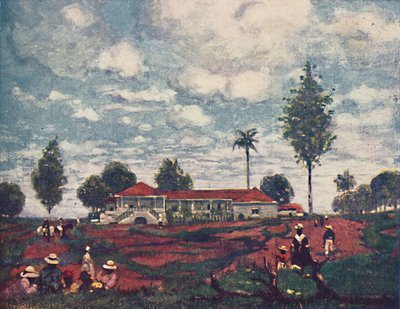 Farma kawy, 1916 autorstwa A. S. Forrest