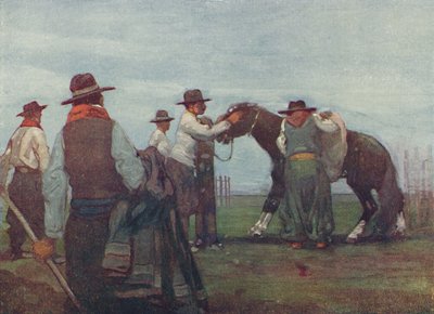 Gauchos włamuje się do młodego konia, 1916 autorstwa A. S. Forrest