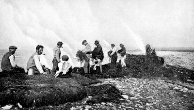 Spalanie wodorostów na wodorosty, Wyspy Aran, Irlandia, 1922. autorstwa A. W. Cutler