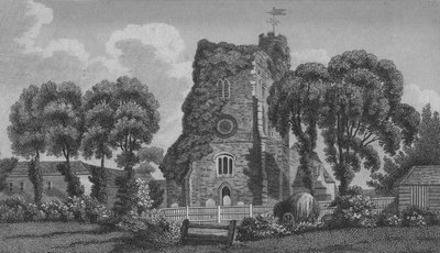 Północne Mimy, 1806 autorstwa A Warren