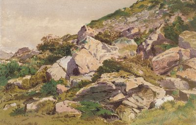 Badanie kamieni na północnej stronie Taliaris, w pobliżu Llandilo, Południowa Walia (chromolit) autorstwa Aaron Edwin Penley
