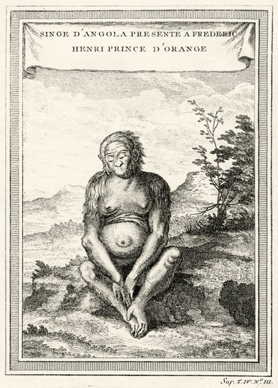 Ilustracja przedstawiająca Orang-Outang podarowana Fryderykowi Henrykowi, księciu Orange, 1750 autorstwa Abbé Prévost