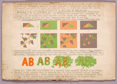 Diagramm und Kupferkopfschlange, Studienmappe für das Buch Concealing Coloration in the Animal Kingdom autorstwa Abbott Handerson Thayer