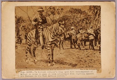 Horse and Cruiser Camouflaged, folder do książki Concealing Coloration in the Animal Kingdom autorstwa Abbott Handerson Thayer