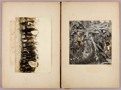 Maorysi i inni dzicy, teczka studiów do książki Concealing Coloration in the Animal Kingdom autorstwa Abbott Handerson Thayer
