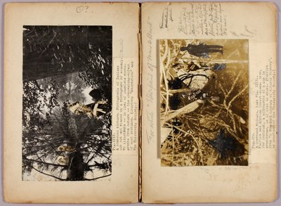 N. Indianie amerykańscy, folder do książki Ukryte ubarwienie w królestwie zwierząt autorstwa Abbott Handerson Thayer