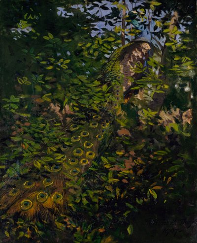 Paw w lesie, studium do książki Concealing Coloration in the Animal Kingdom autorstwa Abbott Handerson Thayer