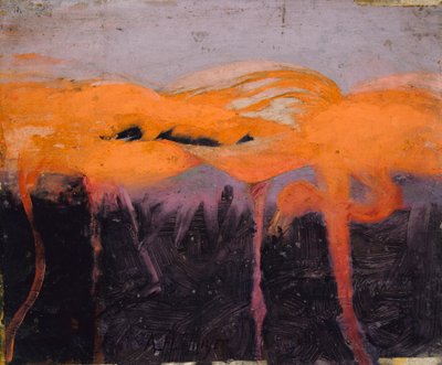 Czerwone flamingi, studium do książki Ukrywanie zabarwienia w królestwie zwierząt, ca. 1905-1909. autorstwa Abbott Handerson Thayer