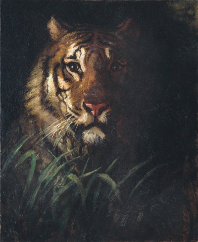 Głowa Tygrysa autorstwa Abbott Handerson Thayer