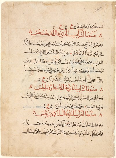 Strona tekstowa z Materia Medica z Dioscorides autorstwa Abdallah ibn al Fadl (Iraq)