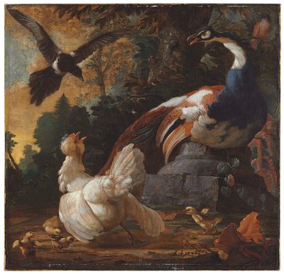 Paw, drób i sroka w krajobrazie, 1720 autorstwa Abraham Bisschop