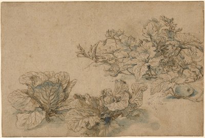 Studia rośliny dyniowatej i kapust autorstwa Abraham Bloemaert