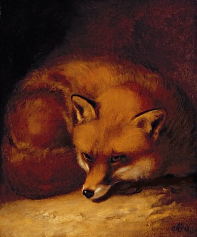 Lis autorstwa Abraham Cooper