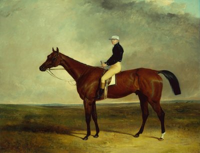 "Wisdom" pana Wreforda dosiadany przez Sama Daya autorstwa Abraham Cooper