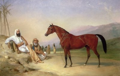 Dwóch Beduinów z gniadym arabskim ogierem na pustyni autorstwa Abraham Cooper