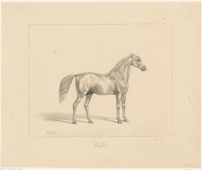 Ogier arabski Vezir (tytuł na obiekcie) autorstwa Abraham Vinkeles