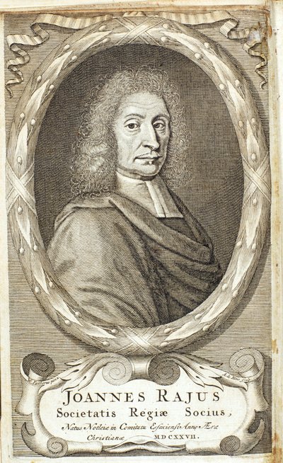 John Ray, angielski przyrodnik, 1680s autorstwa Abraham de Blois