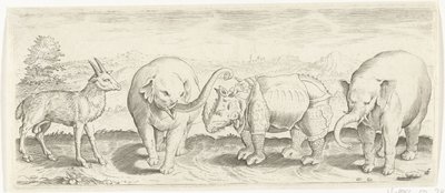 Gazela, Słoń i Nosorożec Zwierzęta (tytuł serii) autorstwa Abraham de Bruyn (possibly)