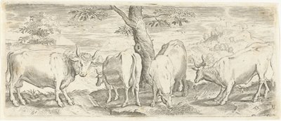 Krowy, byk i wół Zwierzęta (tytuł serii) autorstwa Abraham de Bruyn (possibly)