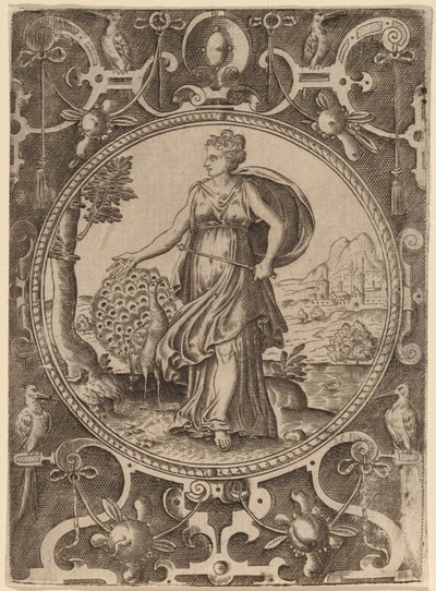 Juno autorstwa Abraham de Bruyn
