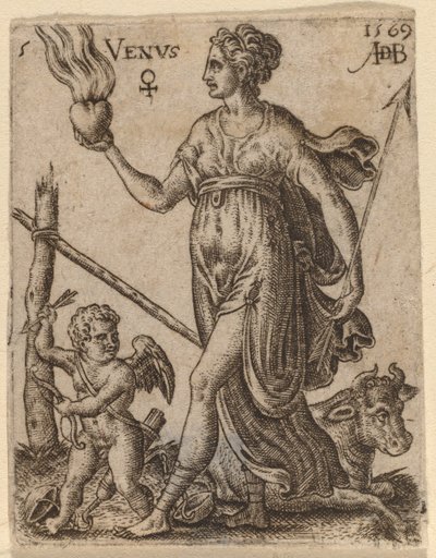 Wenus autorstwa Abraham de Bruyn
