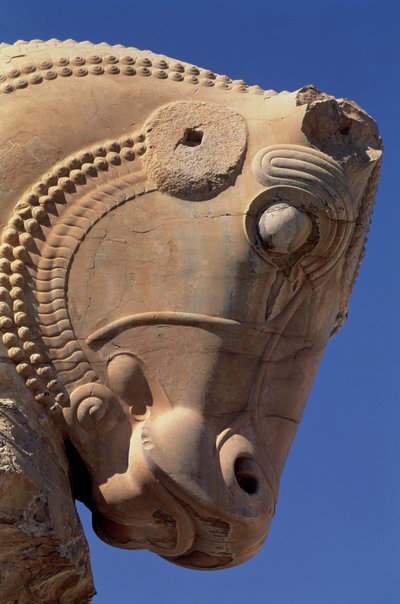 Głowa byka na północnym portyku Sali Tronowej Kserksesa autorstwa Achaemenid