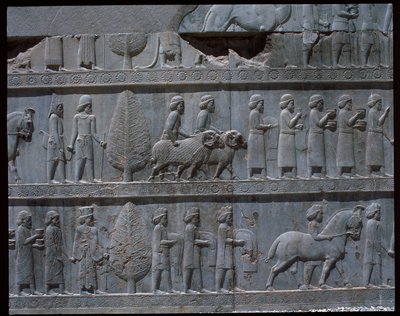 Widok na płaskorzeźby schodów wschodnich autorstwa Achaemenid