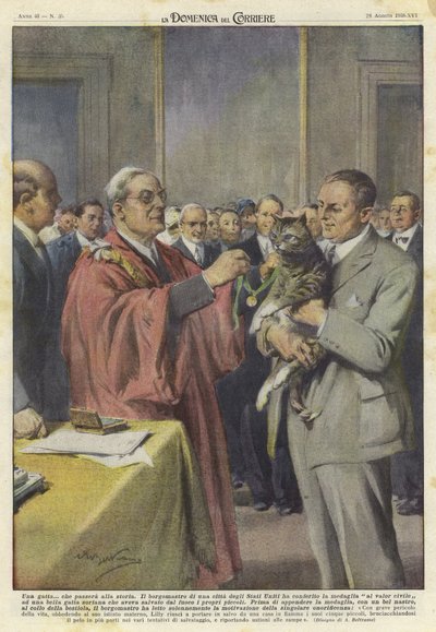 Kot uhonorowany medalem autorstwa Achille Beltrame