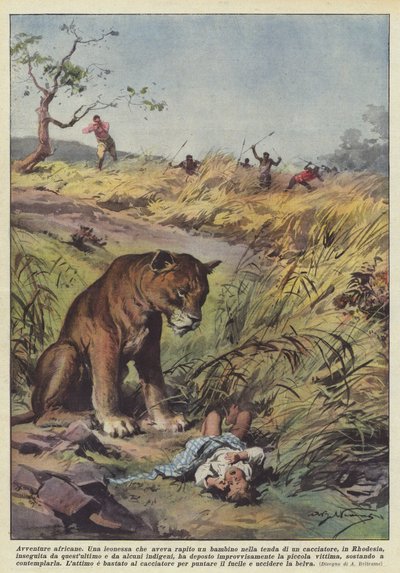 Afrykańskie przygody autorstwa Achille Beltrame