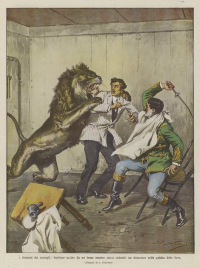 Dramaty menażerii, fryzjer zabity przez lwa podczas golenia poskramiacza w klatce bestii autorstwa Achille Beltrame
