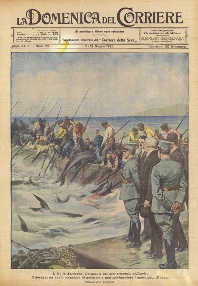 Król na Sardynii autorstwa Achille Beltrame