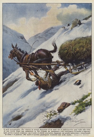 Muł neurasteniczny autorstwa Achille Beltrame