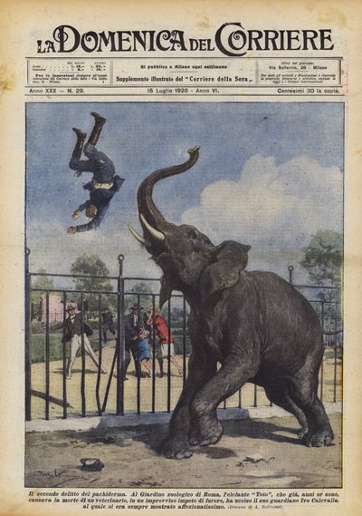 Druga zbrodnia pachydermy autorstwa Achille Beltrame