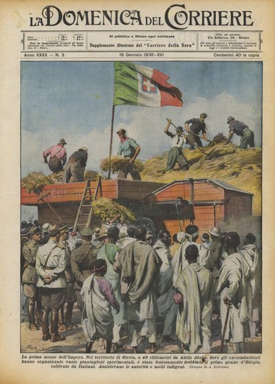 Pierwsze żniwa Imperium autorstwa Achille Beltrame