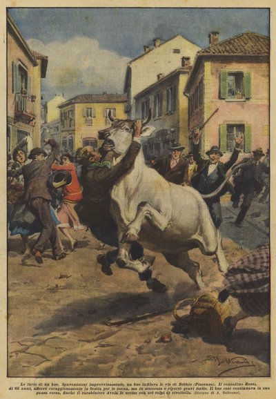 Wściekłość wołu autorstwa Achille Beltrame