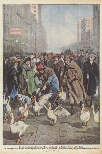 Amerykańskie ekstrawagancje, Geese Derby na Madison Avenue w Nowym Jorku na inaugurację? autorstwa Achille Beltrame