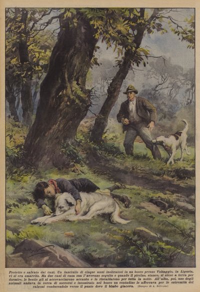 Chroniony i uratowany przez psy autorstwa Achille Beltrame