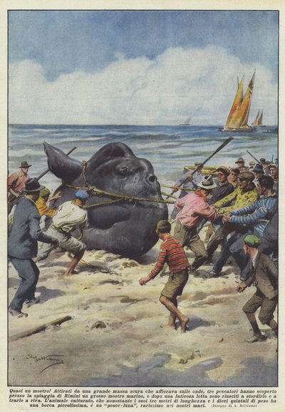 Prawie potwór! autorstwa Achille Beltrame