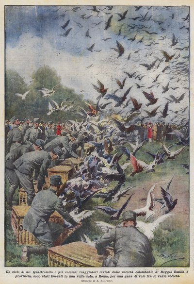 Niebo skrzydeł autorstwa Achille Beltrame
