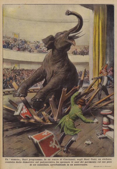 Nieplanowany numer autorstwa Achille Beltrame