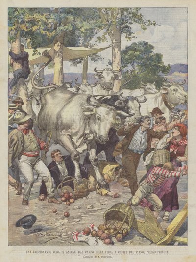 Ekscytująca ucieczka dla zwierząt z Campo della Fiera w Castel del Piano, niedaleko Perugia autorstwa Achille Beltrame